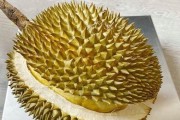 最好吃的榴莲品种排名（探寻榴莲王的秘密——品种排名）