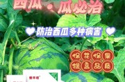 西瓜种植的最佳时间（如何确定最佳种植时间？）