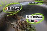 生根水浇花方法（如何使用生根水正确浇灌植物？）
