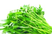 空心菜是一年生还是多年生植物？（解析空心菜的生命周期及特性）