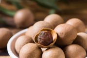 为什么吃桂圆一天最好只吃几个？（了解桂圆的营养价值和食用方法）