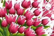 结婚三周年送什么花？这些花束最合适（15种适合送给结婚三周年的花束，让TA爱上你更深）