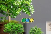 清香木喜水植物，栽培养护攻略大全（了解清香木的喜水特性，让你轻松打造清香园林）