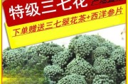 田七开花了，它的花长什么样子？——探秘田七花开之谜