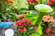 大花盆里适合养哪些花？（如何选择合适的大花盆？如何栽培和养护？）
