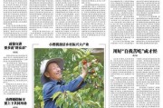 海南岛可以种樱桃吗？（樱桃在海南种植的可行性探讨）