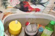 洗衣水能否用来浇花？（考虑到环保，这是否是一个可行的选择？）