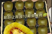揭秘红心猕猴桃产地的神秘面纱（红心猕猴桃的种植区域、特点和流行趋势）
