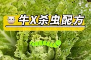薄荷长虫子防治方法（保护薄荷不受侵害的妙招）