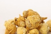 揭秘玛卡的原产地（探究玛卡文化的起源和发展）