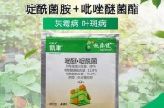 如何有效防治蔬菜黄叶病（掌握这些方法，让你的蔬菜不再受黄叶病困扰）