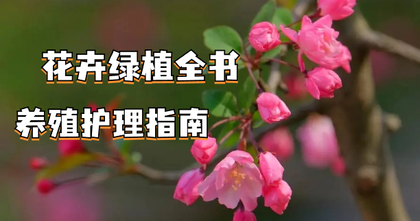 花卉繁殖、花卉病虫害防治知识